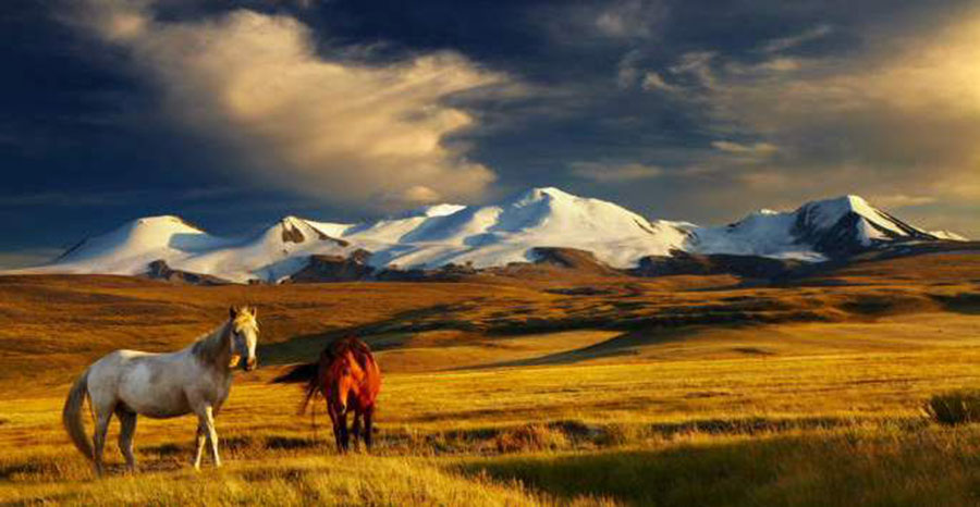 mongolie paysage - Image