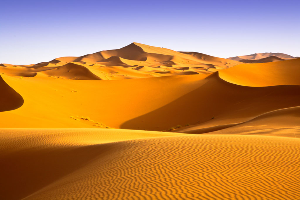 Désert du Sahara