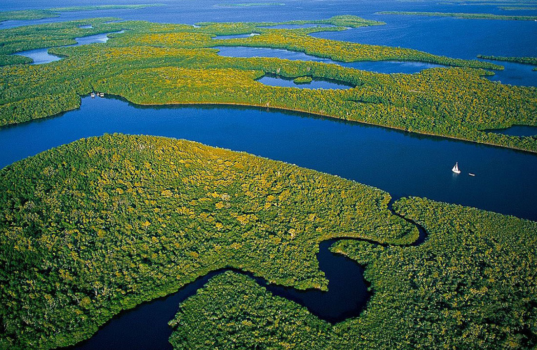 Everglades