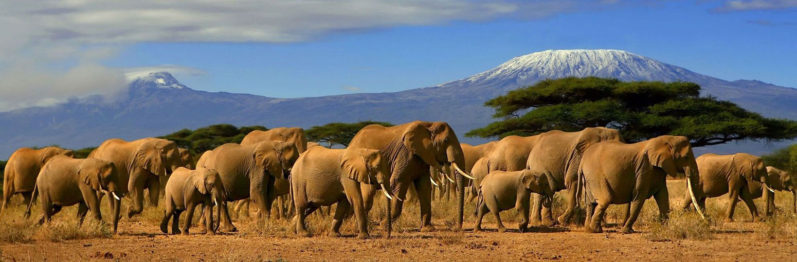 kenya paysage - Image