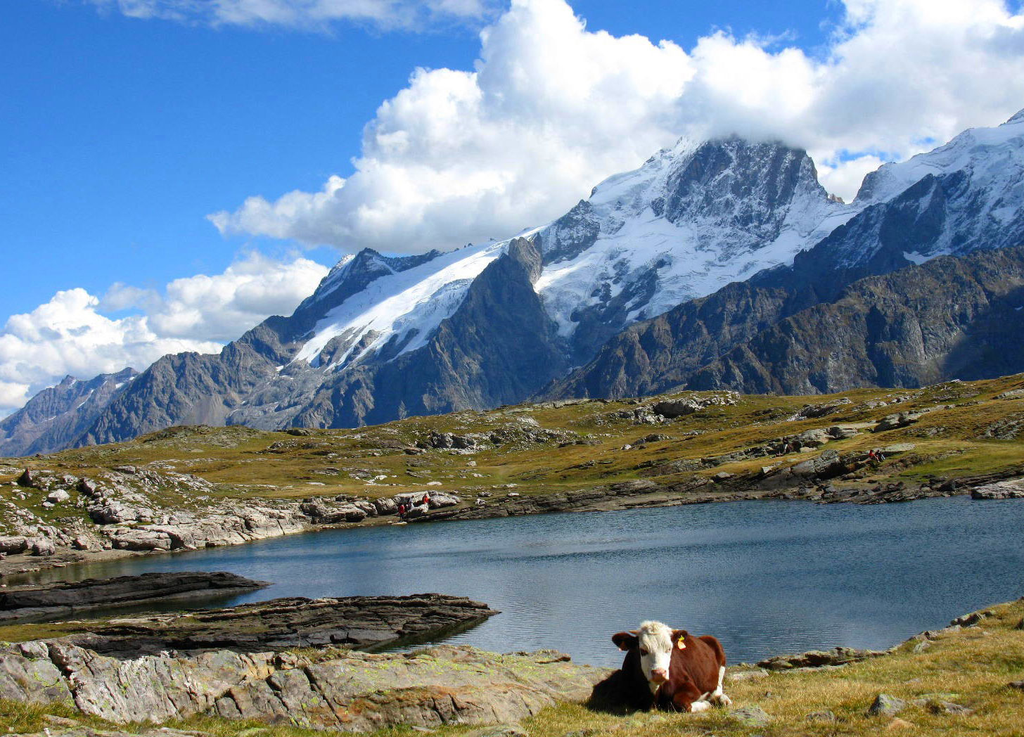 Les Alpes tourisme
