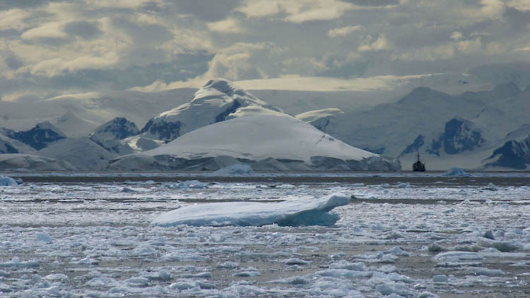terre de graham antarctique
